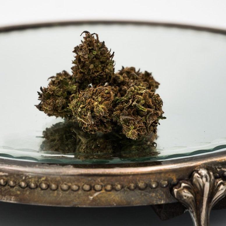 Hemp Flower Strain - Boax Spectrum | Society's Plant