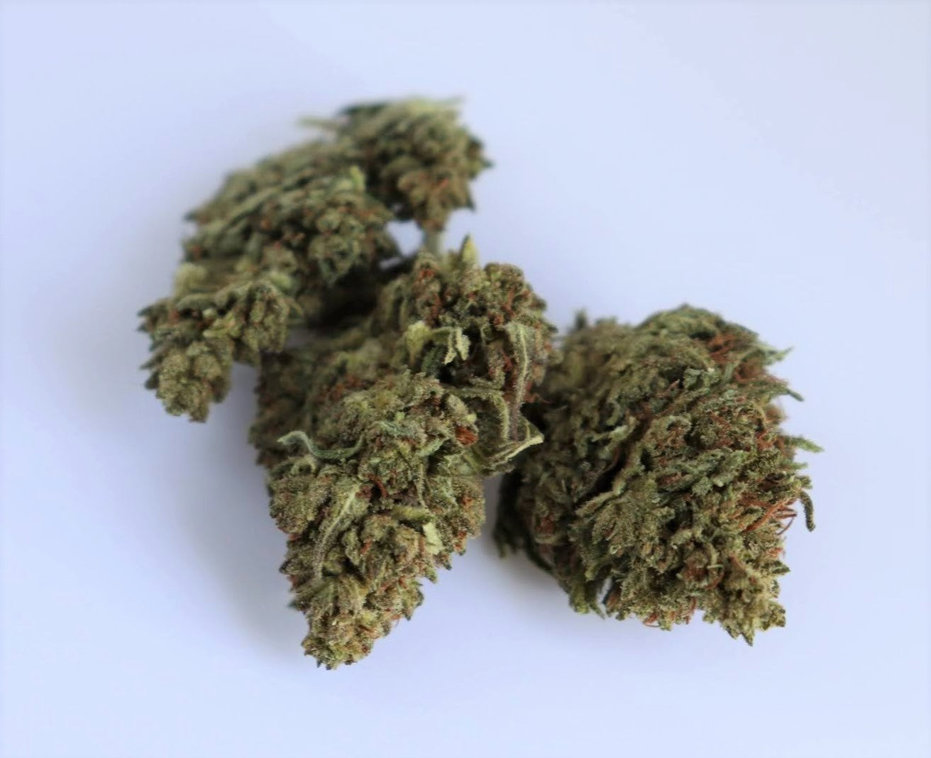 Hemp Flower - CBD: Suver Haze - Society