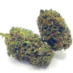 Hemp Flower - CBD: Suver Haze - Society